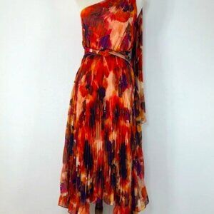 Alex Marie Taylor Flowy Pleated  Dress NWT Size 6 NWT